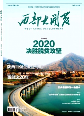 西部大开发杂志